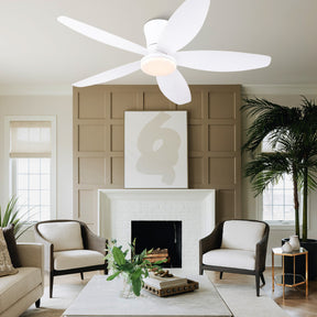 Indoor/Outdoor Recessed Black Ceiling Fan Light
