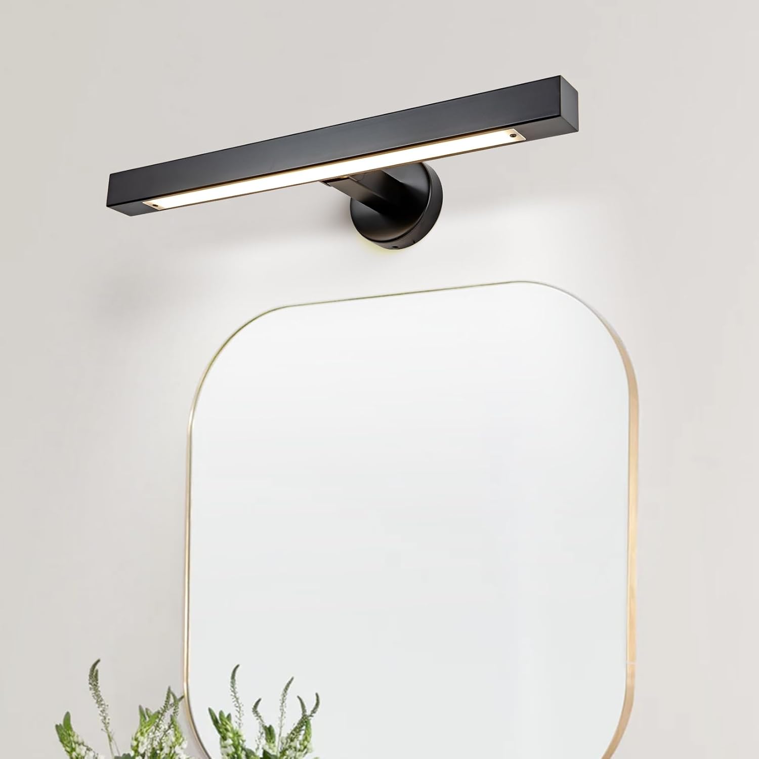 24" Bathroom Vanity Lights,Black Picture Light for Wall