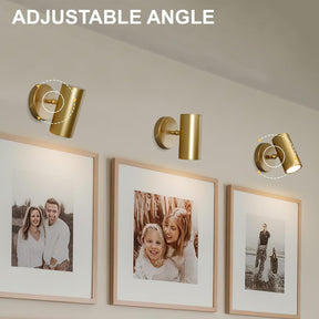 Gold Brass Picture Light Sconce with Adjustable LED, Wall Mount