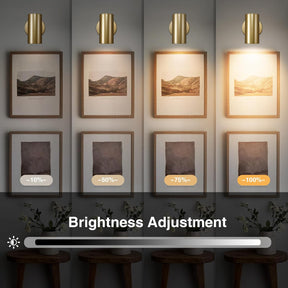 Gold Brass Picture Light Sconce with Adjustable LED, Wall Mount