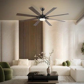 Ventora Fans with Lights