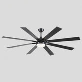 Ventora Fans with Lights