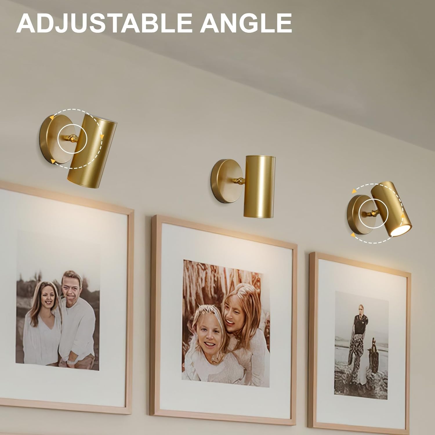 Gold Brass Picture Light Sconce with Adjustable LED, Wall Mount