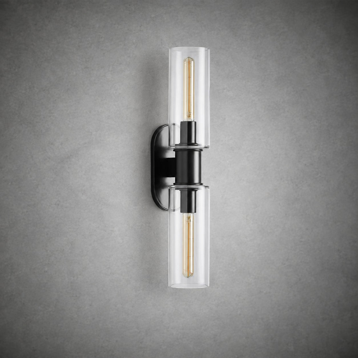 Harlin 2-Light Wall Sconce in Clear