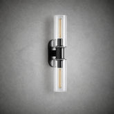 Harlin 2-Light Wall Sconce in Clear