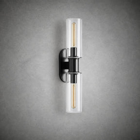 Harlin 2-Light Wall Sconce in Clear